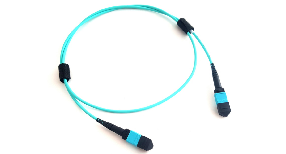 MPO patch cord